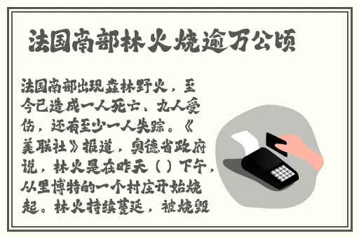 北原多香子 家教